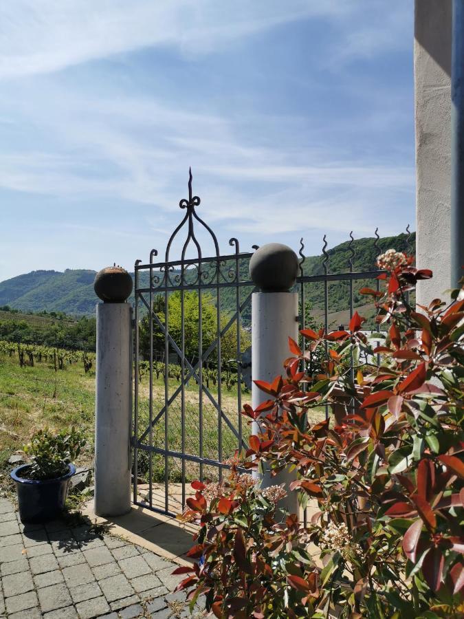 Weingut Amlinger&Sohn Apartman Neef Kültér fotó